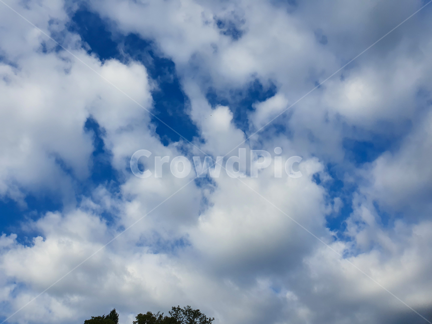 하늘,sky,푸른하늘,자연,nature,azuresky,구름,cloud,맑음,맑은하늘,파란하늘,bluesky