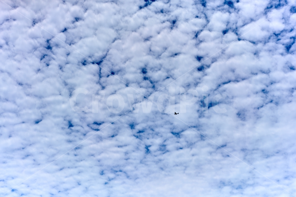 비행기,경비행기,비행,하늘,구름,자연,풍경,nature,landscape,outdoors,옥외,sky,azure sky,푸른 하늘