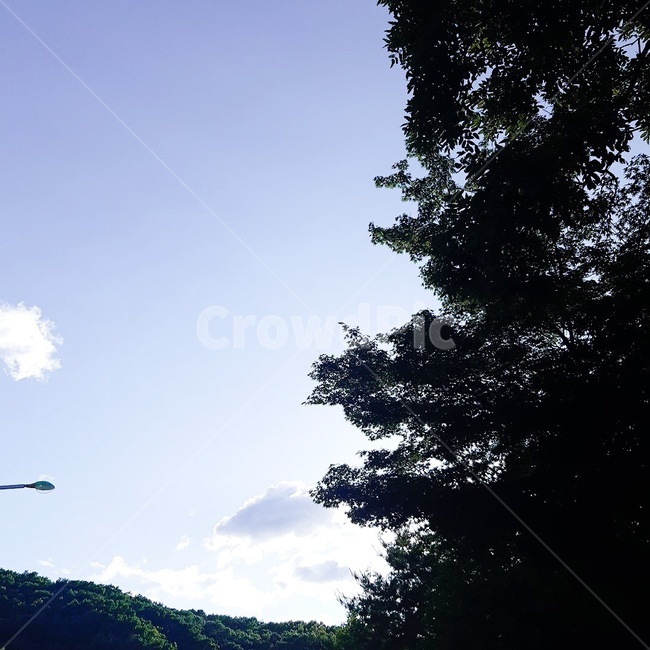 산,나무,구름,맑음,하늘