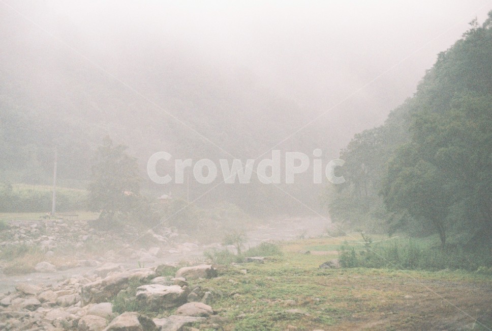 안개,외로움,숲,계곡,풍경,landscape,forest,mist,fog,foggy,lonely,valley