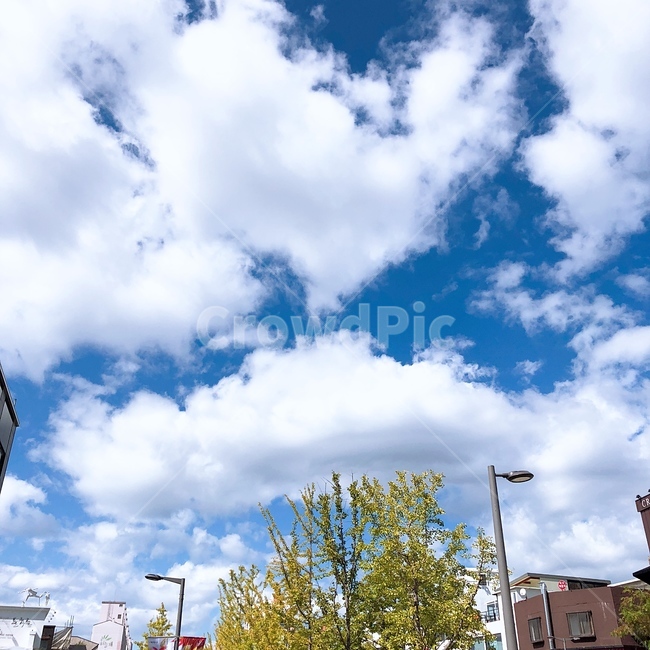 하트,하트구름,하늘,날씨,cloud,가을,sky,풍경,배경,heart,서울,나무,도시,city,여유,맑음,따듯함