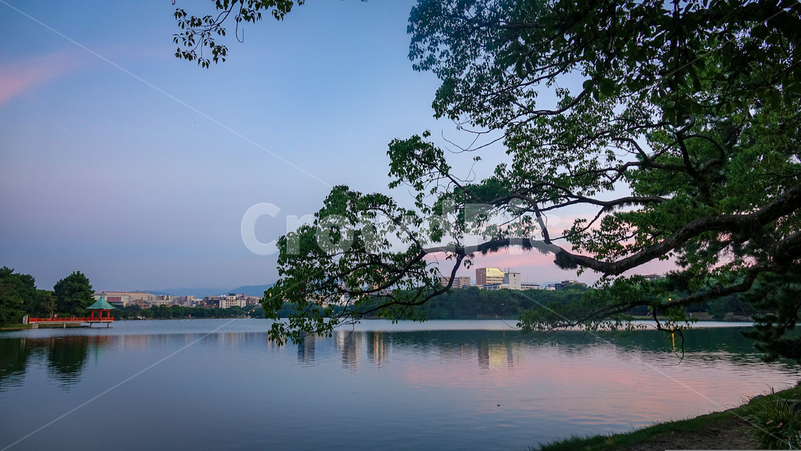 오호리공원,후쿠오카,공원,노을,일몰,풍경,핑크빛노을,호수,park,오호리코엔,fukuoka,감성,자연,나무,다리,자연,풍경,nature,landscape,해외,외국,세계,foreign,oversea,world,세계자연풍경,해외자연풍경,외국자연풍경,world nature landscape,water,물,outdoors,옥외,land,땅