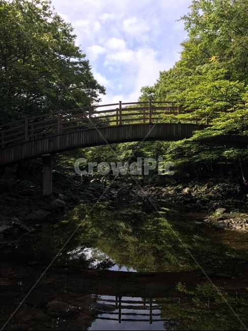 풍경,다리,수면,그림자,자연,자연,풍경,nature,landscape,outdoors,옥외,water,물
