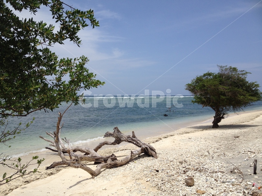 길리,바다,나무,하늘,gili,sea,tree,sky,seaandtrees,고즈넉