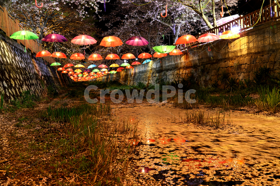 진해,여좌천,벚꽃축제,군항제,반영,우산,봄,계절,springseason,야경,밤,풍경,nightscape,nightlandscape,축제행사,festivalcarnivalevent,감성,sensiblefeeling,봄,계절,spring,season,야경,밤,풍경,nightscape,night,landscape,축제,행사,festival,carnival,event