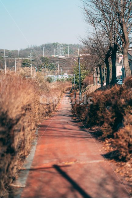 동네,풍경,배경화면,길,도로,landscape,city,한국도시풍경,한국도시경관,korea,cityscape,건물,하늘,sky,가을,계절,fall,autumn,season,자연,풍경,nature,landscape