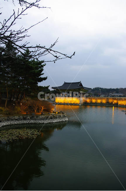 안압지,연못,경주,건축,지붕,traditional,전통,조명,빛,나무,야경,밤,풍경,nightscape,night,landscape,한국전통,한국문화,korean traditional,korean culture,랜드마크,landmark,tourist attraction,한국랜드마크,한국관광지,한국명소,korea landmark,korea tourist attraction,건축물,건물외관,exterior,building,structure,architecture,construction