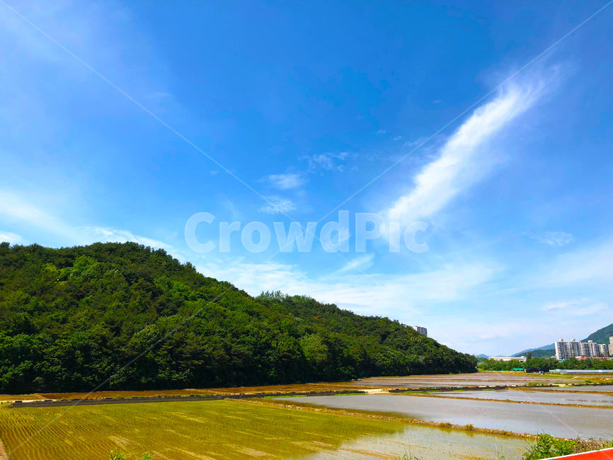 봄하늘,산책,구름,시골풍경,농사,산,논,sky,spring,맑은하늘,논밭,정취,풍경,울산