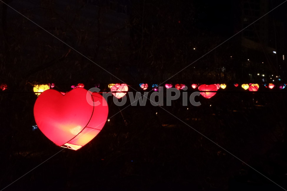 하트,전등,하트전등,축제,사랑,야경,밤,풍경,nightscape,night,landscape,lamp,램프