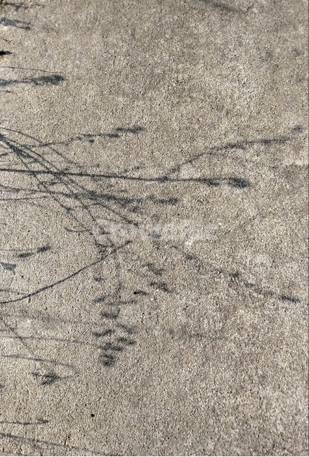 배경화면,그림자,background,shadow,바닥