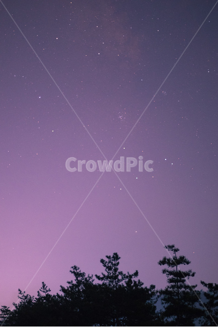 은하수,밤,풍경,하늘,나무,별,자연,풍경,nature,landscape,야경,밤,nightscape,night,색깔,색상,색채,색감,color sense,color sensitivity,feeling of color,outdoors,옥외,outer space,대기권 밖,astronomy,천문학,universe,우주,starry sky,별이 빛나는 하늘,space