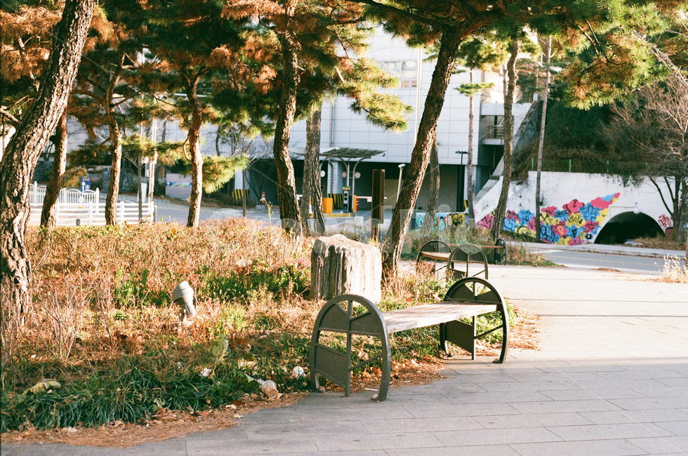 가을,겨울,벤치,낙엽,인도,자연,풍경,nature,landscape,tree,나무,plant,식물