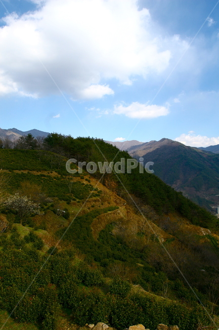 산,풍경,경치,운치,겨울산,정상,산골,시골,landscape,nature,자연