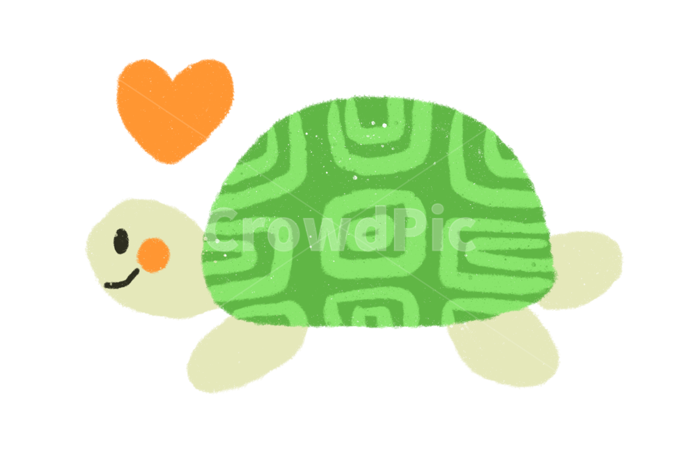 거북이,동화,손그림,png,removebackground,누끼,remove background