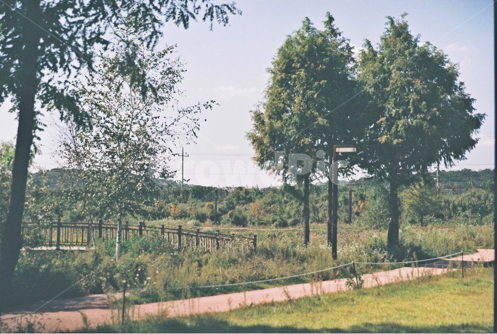 다리,풍경,bridge,view,나무,tree,시골길,countrylane,자연,풍경,nature,landscape,outdoors,옥외,plant,식물