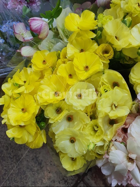 꽃,식물,flower,blossom,꽃부케,flowerbouquet,꽃꽂이,plant
