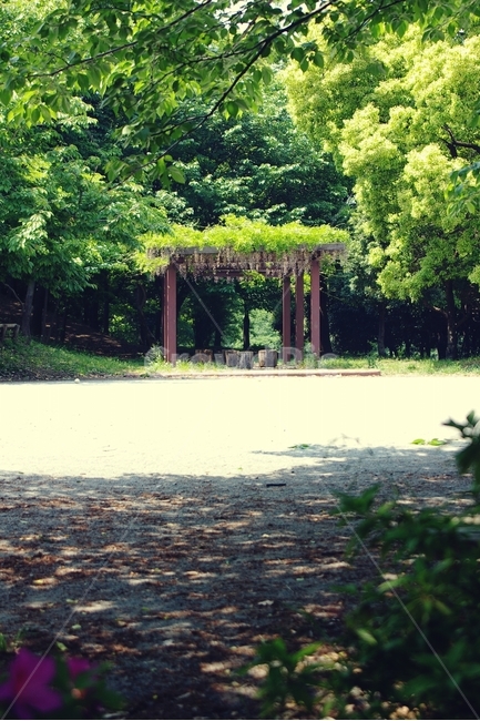 나무,등나무,rattan,라탄,여름,summer,초록,green,휴식,relax,의자,휴식,힐링,rest,relaxation,healing