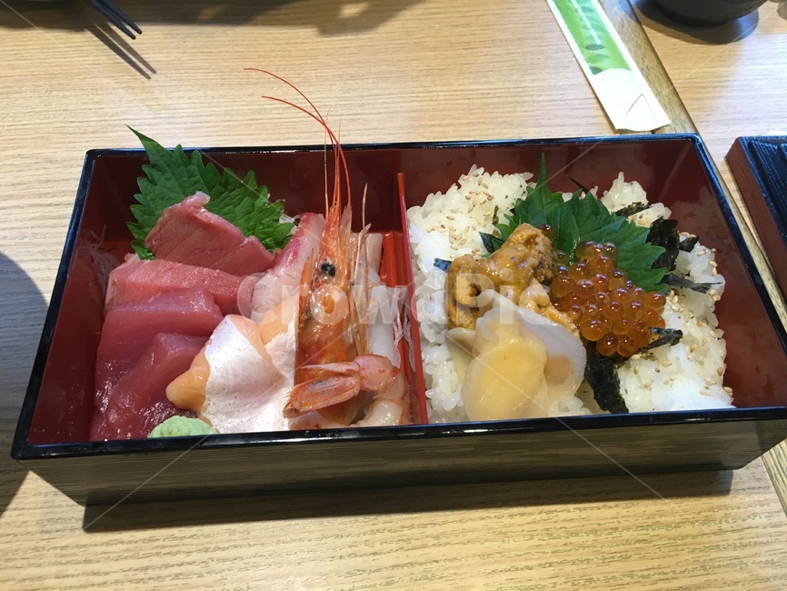 도시락,참치,새우,성게알,알,연어알,밥,연어,생연어,숙성,맛집,음식,food,meal,식품,식당,식사