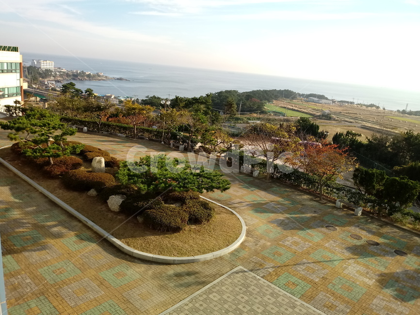 flagstone,판석,outdoors,옥외,landscape,경치,nature,자연,path,통로,walkway,scenery,풍경