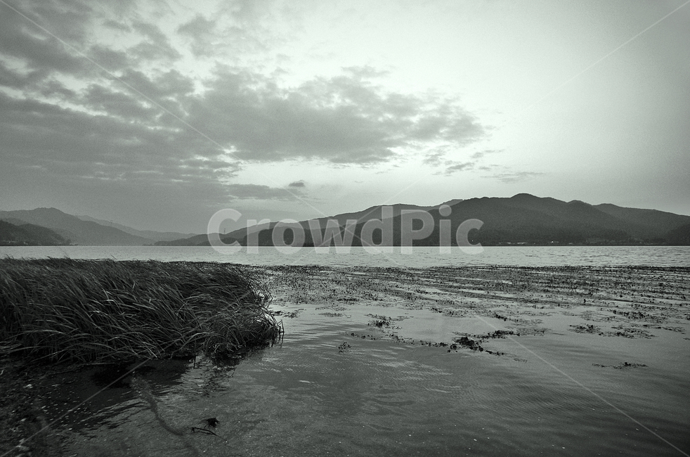 두물머리,양수리,양평,강,남한강,북한강,자연명소,자연,풍경,nature,landscape,흑백,모노톤,monochrome,black and white,outdoors,옥외,land,땅,water,물