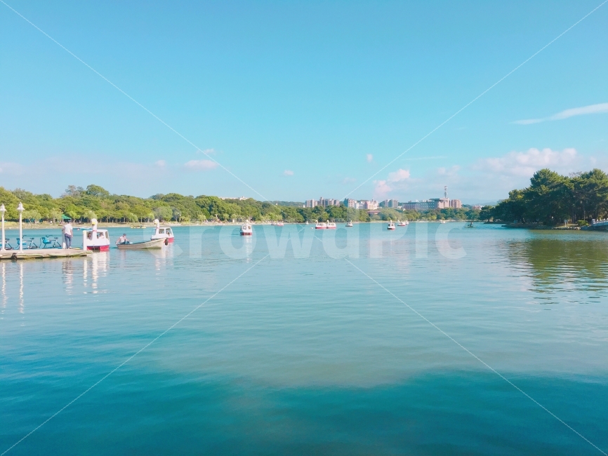 Japanese photo,Ohori Lake,landscape photography,Japan travel,japan,Ohori Park,travel photos,Fukuoka,lake