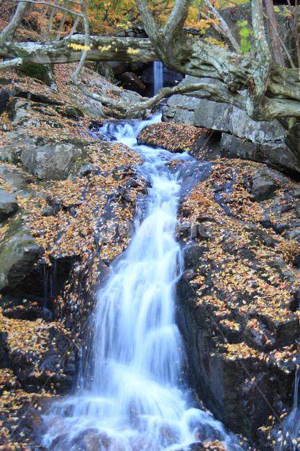 가을,폭포,낙엽,풍경,바위,물,자연,풍경,nature,landscape,water,river,강,outdoors,옥외,waterfall