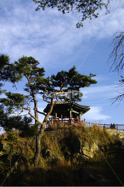 풍경,하늘,소나무,구름,정자,자연,풍경,nature,landscape,한국자연풍경,한국자연경관,korea nature landscape