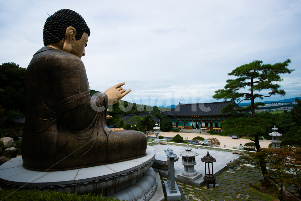 사찰,불상,불공,심학산,약천사,절,좌불상,부처