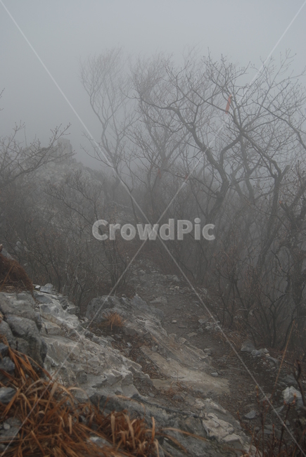 안개,fog,등산로,hikingtrail,봄,자연,풍경,nature,landscape,weather,날씨,outdoors,옥외