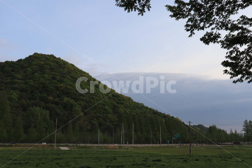 grassland,목초지,field,들,plant,식물,grass,옥외,야외,자연,산,자연,풍경,nature,landscape,outdoors,잔디