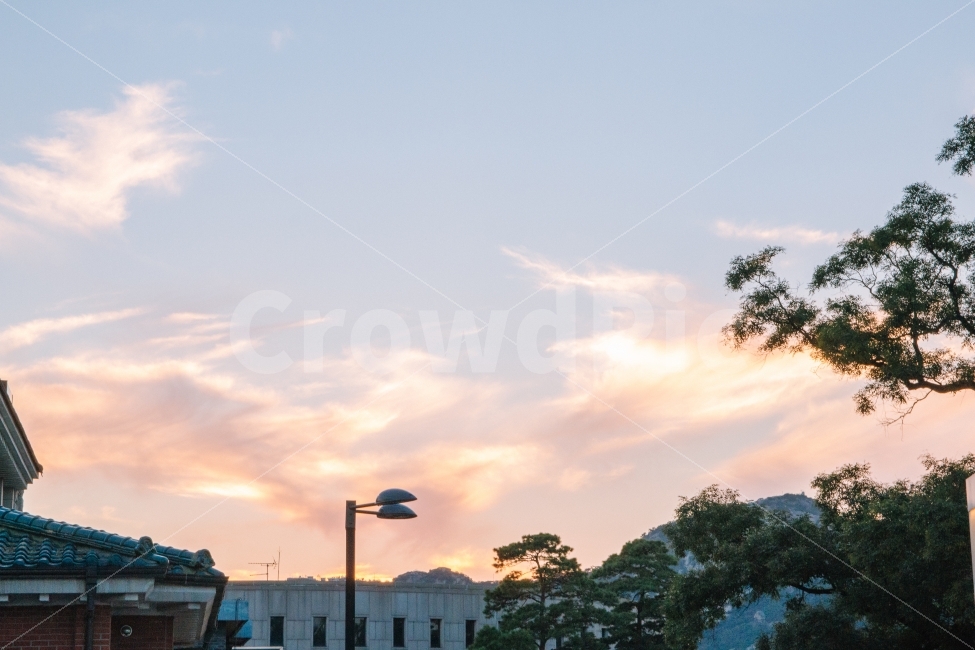노을,한옥,기와,하늘,소나무,나무,북촌,한옥마을,서울,korea,seoul,tree,도시,풍경,city,landscape