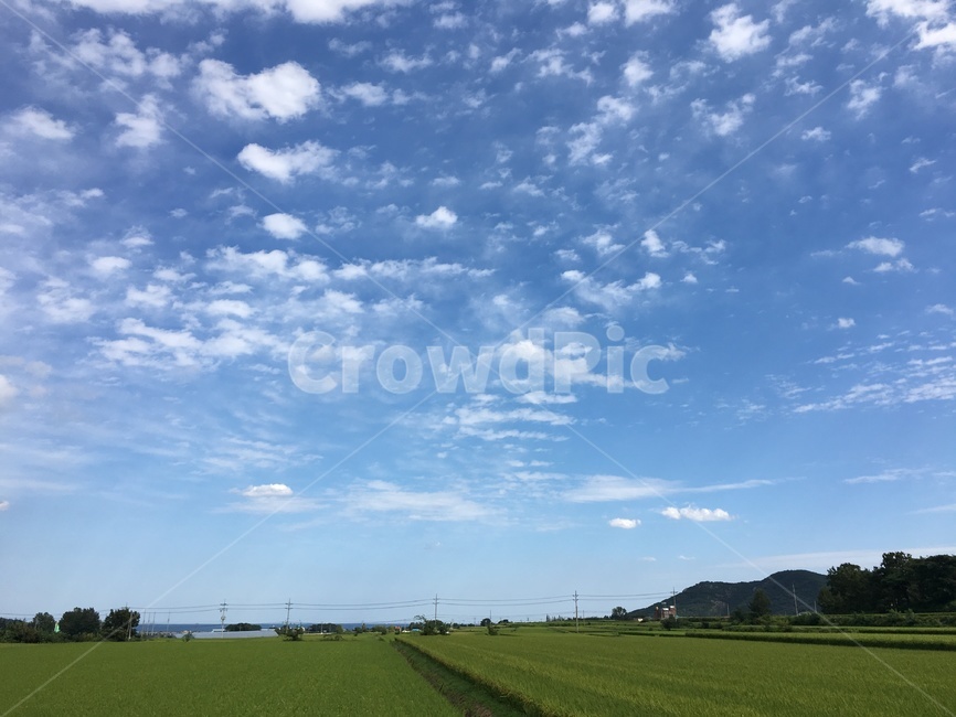 시골,길,하늘,구름,시골길,풀,자연,풍경,nature,landscape,outdoors,옥외,field,들,grassland,목초지,grass,잔디,plant,식물