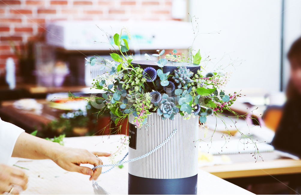 다육이원형박스,원형박스,꽃박스,다육이,녹색,식물,자연,plants,nature,꽃,flower