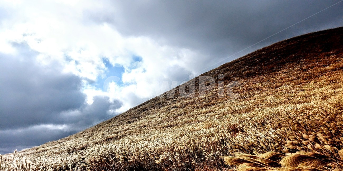 풍경,하늘,구름,언덕,바람,자연,풍경,nature,landscape,field,들,outdoors,옥외,grassland,목초지,ground,바닥