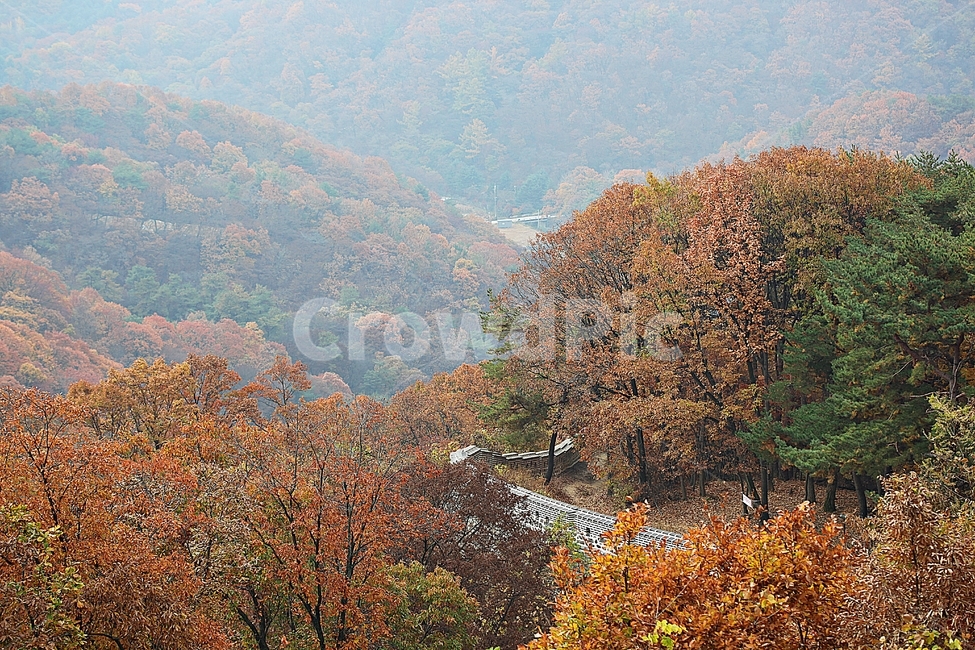 남한산성,성곽,성,단풍,낙엽,길,둘레길,숲,숲길,담,돌담,가을,자연,풍경,벽,울긋불긋,산성,식물,가을,계절,fall,autumn,season,nature,outdoors,옥외