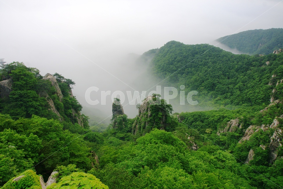 대둔산,여름,운해,안개,풍경,자연,풍경,nature,landscape,한국자연풍경,한국자연경관,korea nature landscape,outdoors,옥외