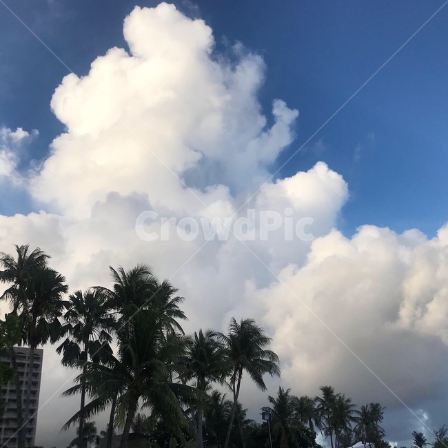 nature,자연,구름,날씨,cloud,weather,outdoors,cumulus,적운,하늘,sky,해외,괌,guam,휴식,안정,자연,풍경,nature,landscape,옥외