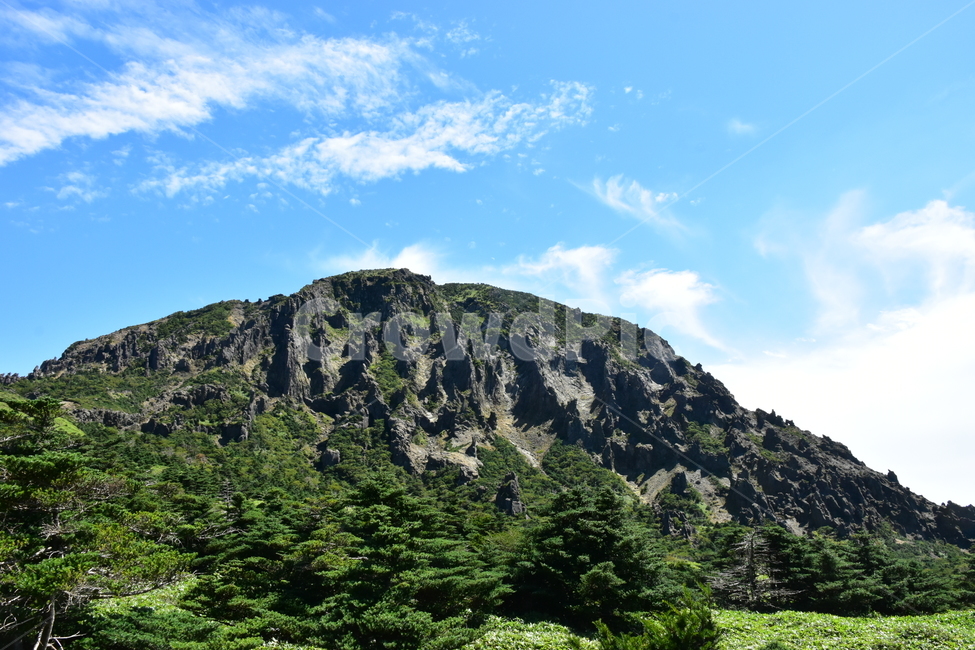 영실,한라산,제주,기암괴석,절경,자연,풍경,힐링,여름,계절,탐방,등산,남벽,윗세오름,season,nature,landscape,한국자연풍경,한국자연경관,korea,naturelandscape,제주도,jeju,jejuisland,자연,풍경,nature,landscape,한국자연풍경,한국자연경관,korea nature landscape,제주도,jeju,jeju island,plant,식물,tree,나무,fir,전나무,outdoors,옥외