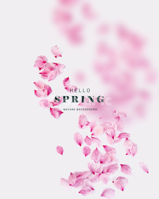 봄꽃,자연,핑크,봄,벚꽃,쇼핑,아름다운,시즌,계절,템플릿,블러,친환경,천연,맑은,에코,공기청정,깨끗한,희망찬,행운,빛,새롭다,햇살,상큼한,카피공간,뒷배경,환경,빛나다,오브젝트,프레임,축체,파티,이벤트,기획전,할인,쇼핑몰,세일,행사,대배너제목,본문,장식,타이틀,배경,plant,식물,flower,꽃,blossom,spring,꽃잎,봄,계절,spring,season,그래픽,일러스트레이션,graphic,illustration