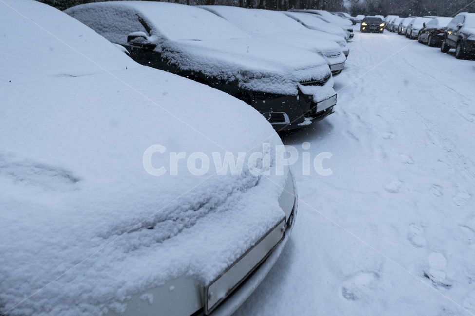 주차장,야외,자동차,차,승용차,눈,겨울,폭설,화이트,사이드미러,정렬,겨울,계절,winter,season,교통,교통수단,traffic,transportation,nature,자연,outdoors,옥외
