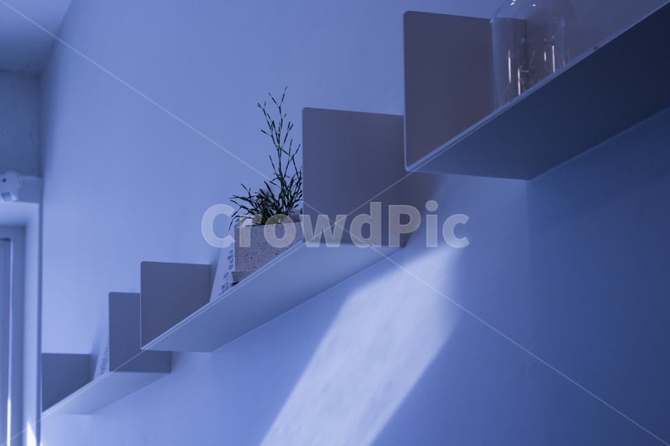 카페,차분함,화분,감성사진,blue,감성,sensible,feeling,인테리어,실내디자인,interior design