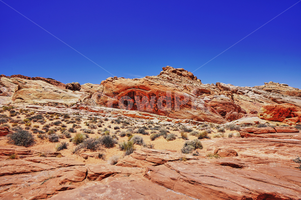 valleyoffire,불의계곡,건조한,dry,풍경,파란,하늘,red,rock,바위,자연,풍경,nature,landscape,해외,외국,세계,foreign,oversea,world,세계자연풍경,해외자연풍경,외국자연풍경,world nature landscape,soil,흙,outdoors,옥외,desert,사막
