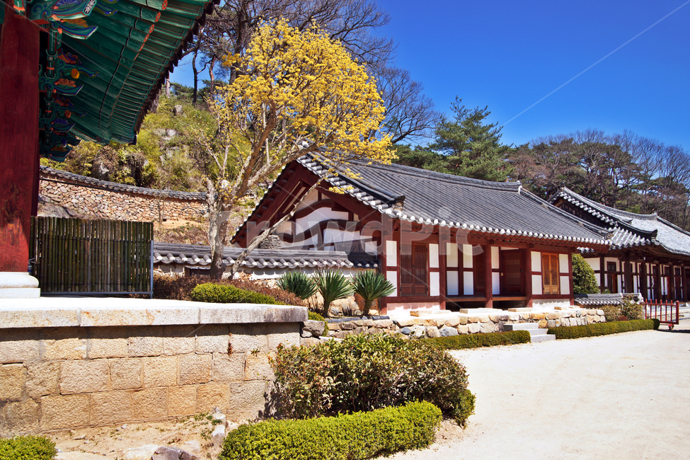 통도사,사찰,법보사찰,삼보사찰,고건축,양산,봄,한국전통,한국문화,korean traditional,korean culture,건축물,건물외관,exterior,building,structure,architecture,construction