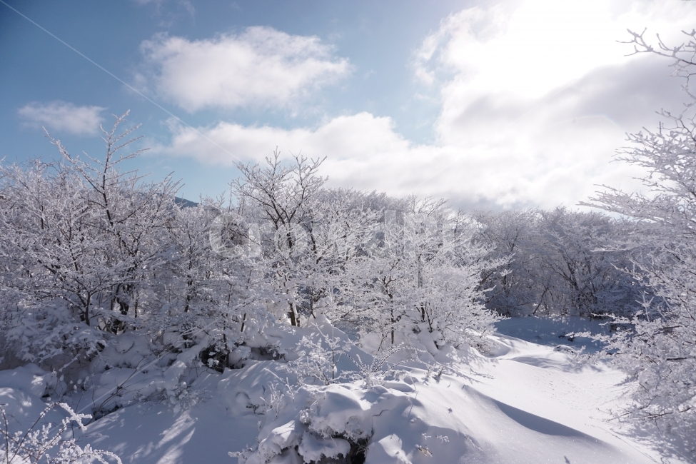 설경,산,나무,상고대,겨울,눈,겨울,계절,winter,season,자연,풍경,nature,landscape,snow,storm,폭풍,outdoors,옥외,blizzard,눈보라