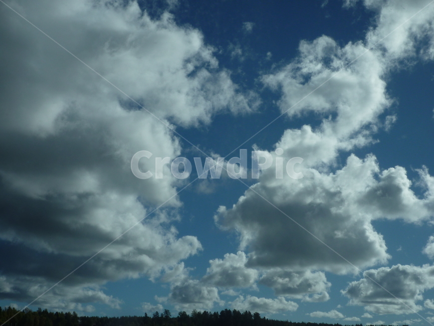 구름,하늘,맑은날,햇빛,sky,clouds,day,sunlight