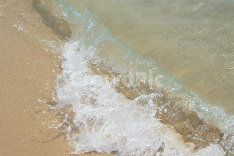 파도,wave,바다,해변,sea,물,water,맑은,투명,clear