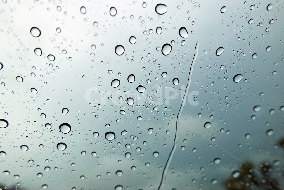 비,빗방울,물방울,빗물,유리,background,rain,바탕,배경,백그라운드,봄비,이슬비,보슬비,장마,흐림,흐린날,유리창,유리표면,바깥,회색,축축한,촉촉,패턴,질감,감성적,감성,생각,비오는날,방울방울,맺히다,흘러내리다,반투명,투명,습기,자연,한방울,나무,하늘,구름,차창,실내,추상적,비,비오는날,rain,rainy