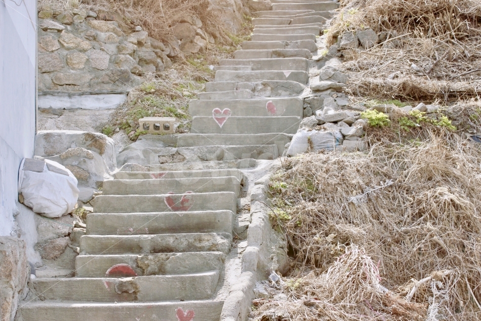 풍경,landscape,도시,city,계단,돌,stairs,자연,nature