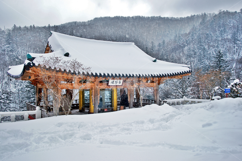 상원사,오대산,강원도,사찰,불교사찰,설경,겨울,계절,winter,season,한국전통,한국문화,korean traditional,korean culture,종교,신앙,religion,belief,faith