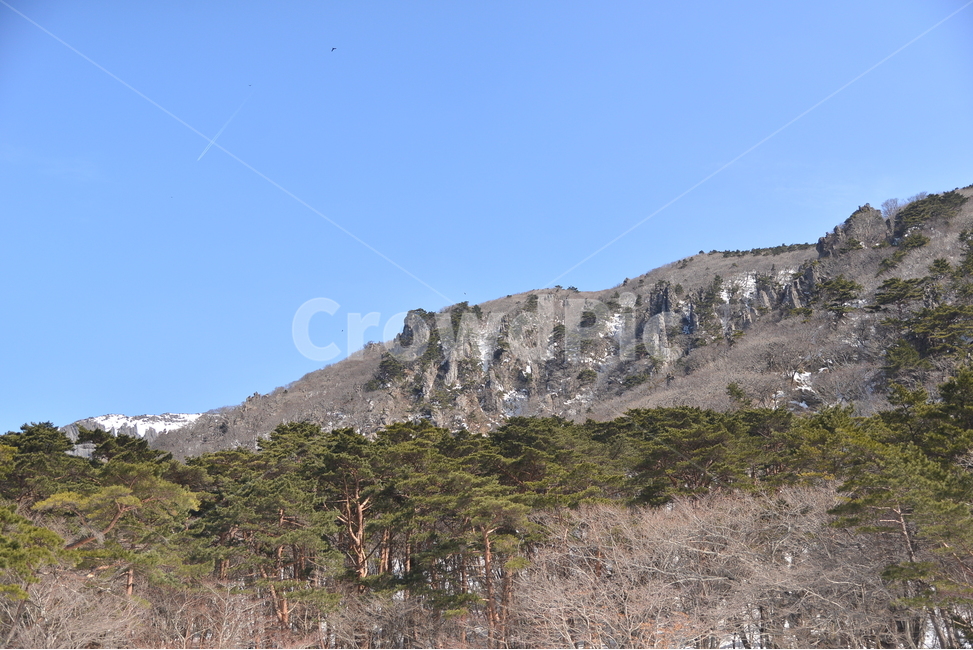 제주도,2월,영실휴게소,한라산,까마귀,겨울산,눈산,제주문화유산답사,제주관광,제주가볼만한곳,겨울,계절,winter,season,자연,풍경,nature,landscape,한국자연풍경,한국자연경관,korea nature landscape,제주도,jeju,jeju island,outdoors,옥외